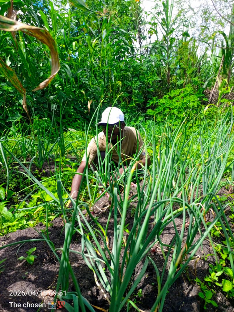 Community agriculture in Chantulo