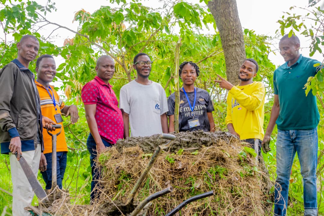 Volunteers working together