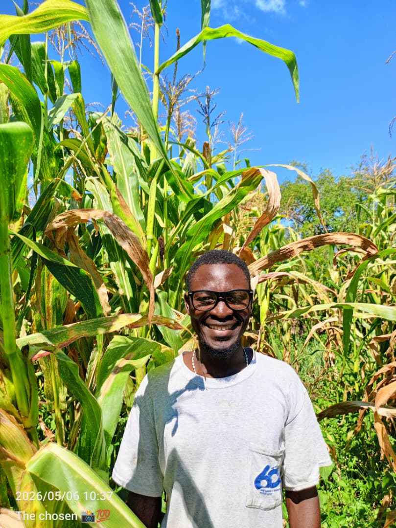 Community agriculture work