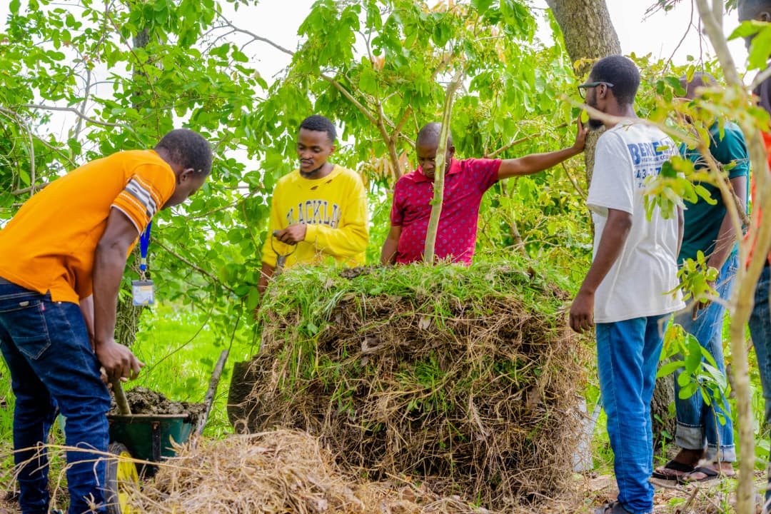Volunteers in the field
