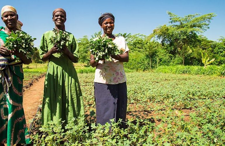 Growing food, water and hope together.  