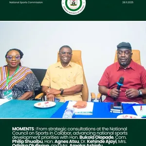 We 're standardising our activities inline with global practice - NIS DG, Shaibu