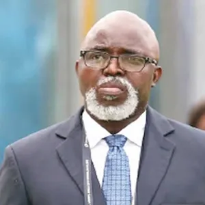 Amaju blames Nigerians for Eagles' failure to qualify for World Cup