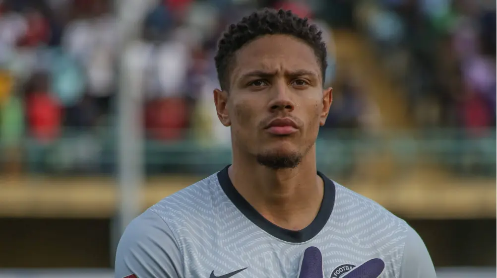 Cover image for Okoye wins Udinese Player of the Month award