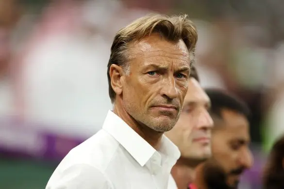 Cover image for Renard among top contenders for Super Eagles Job