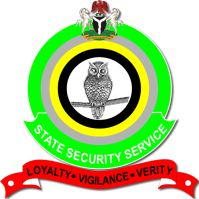 Cover image for DSS appoints new officers for Super Eagles, other national teams 