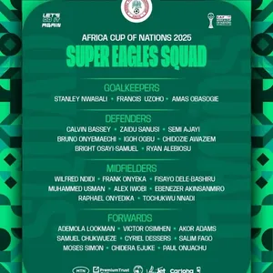 Okoye, Arokodare miss out of Eagles final squad for AFCON 2025