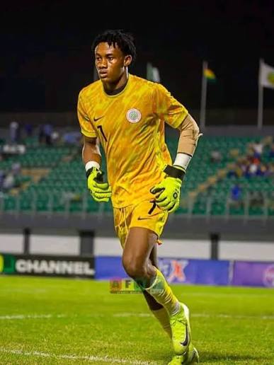 NALCOMA hails Harcourt Super Eagles' call-up