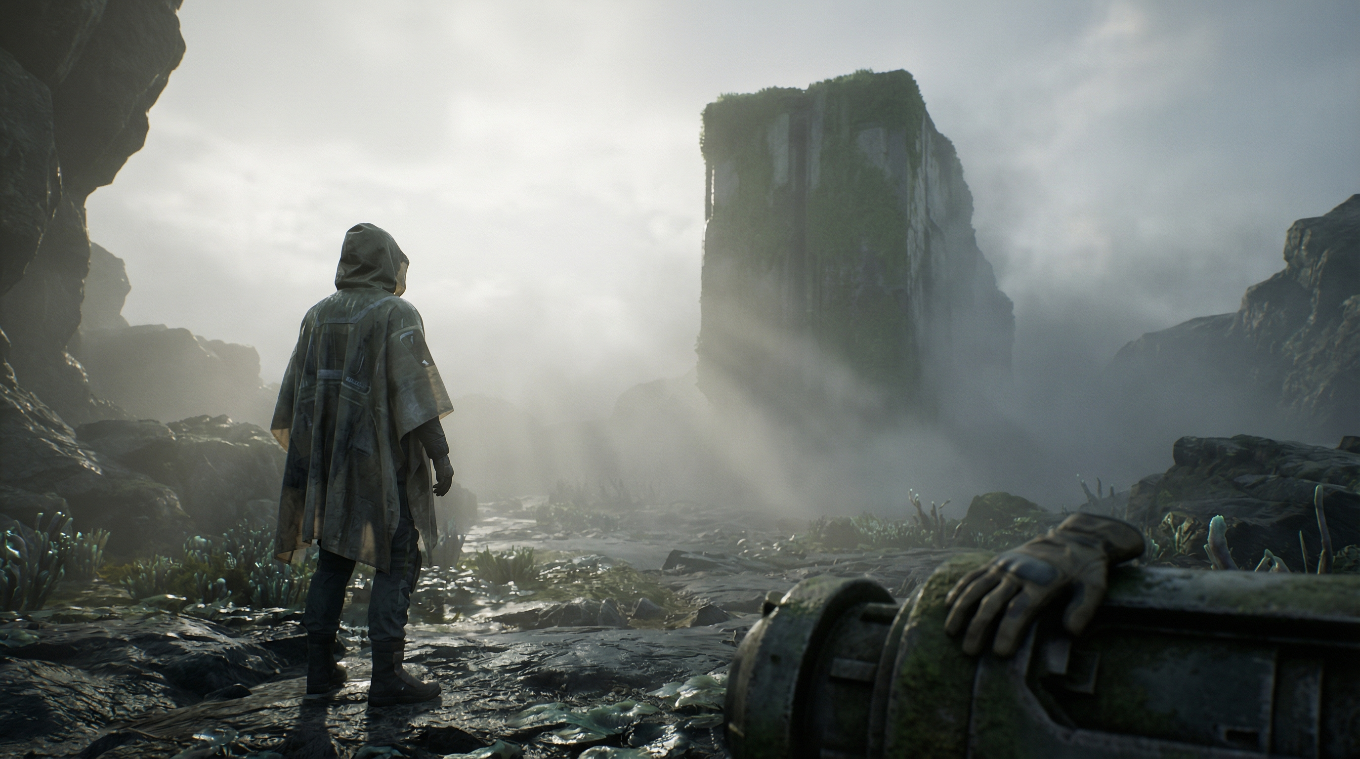 The Weird Ways We Perceive Reality