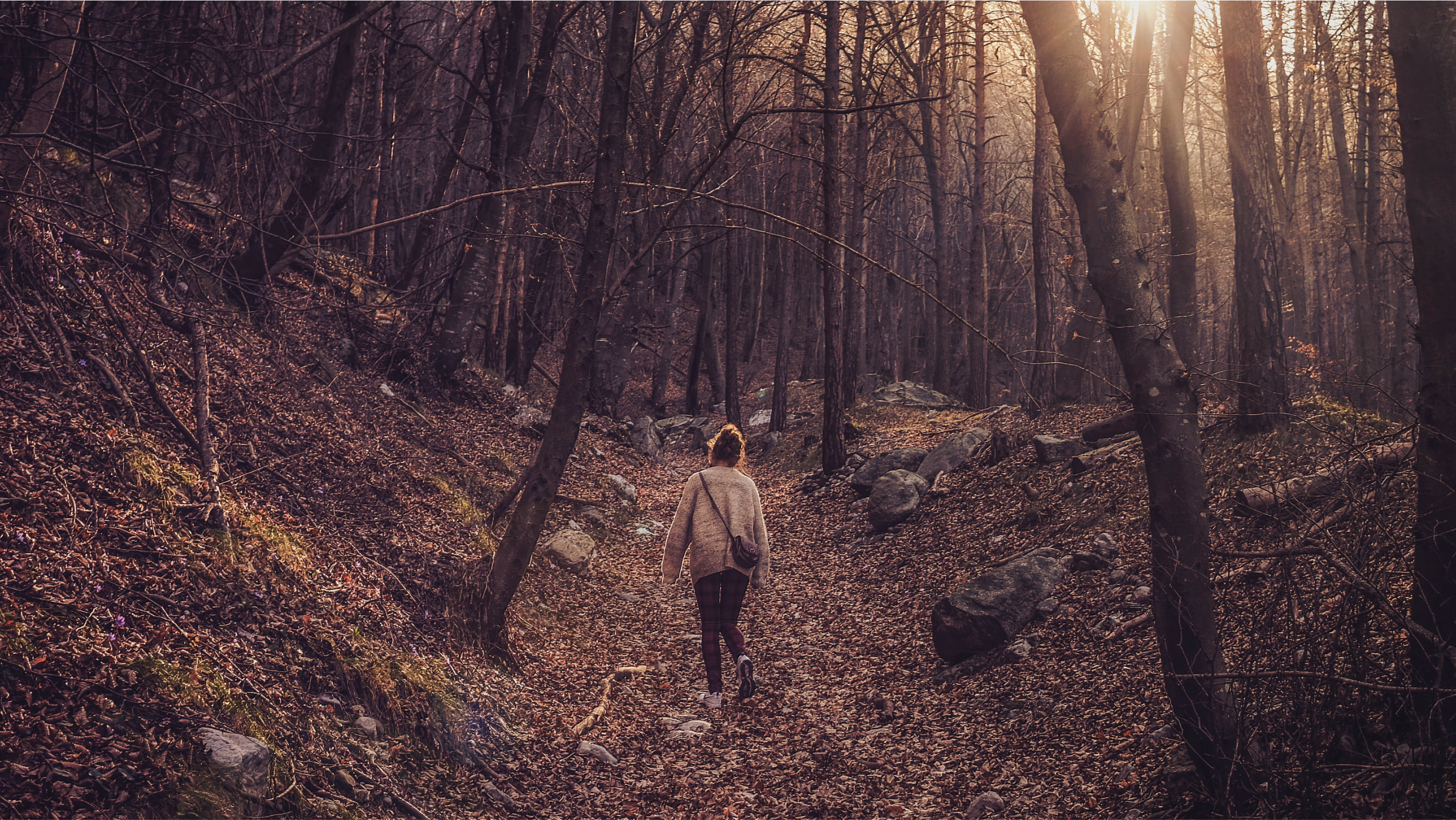 Exploring in the woods and spending time in nature is good for your mental wellbeing.