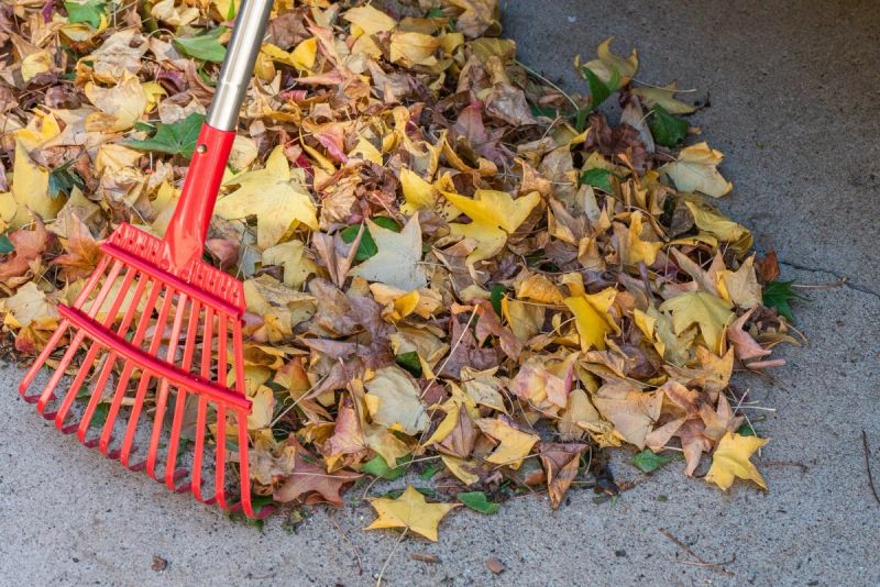 Raking up fallen leaves on concrete