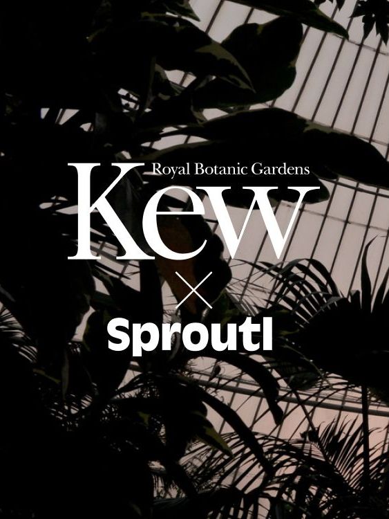 Kew x Sproutl palm house