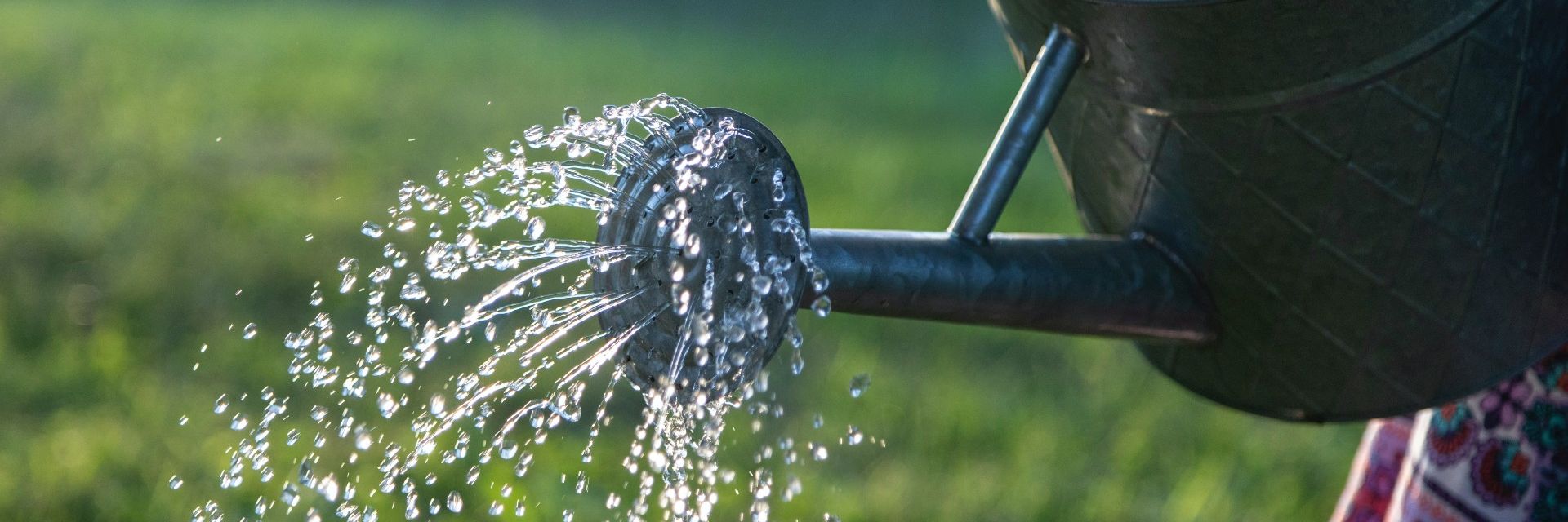 Close up of a watering can with water coming out of it