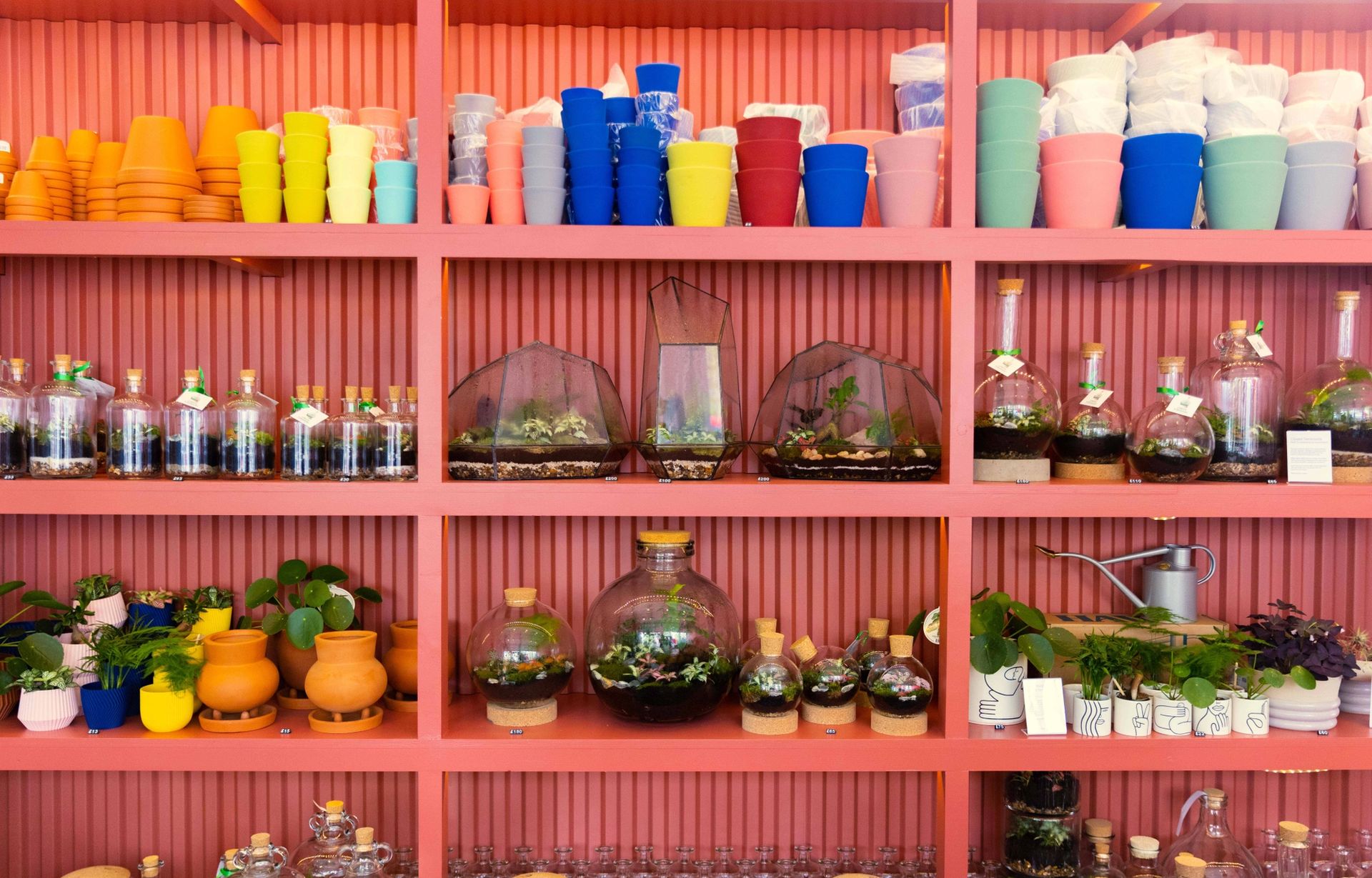Brightly coloured pots and terrariums on pink shelves
