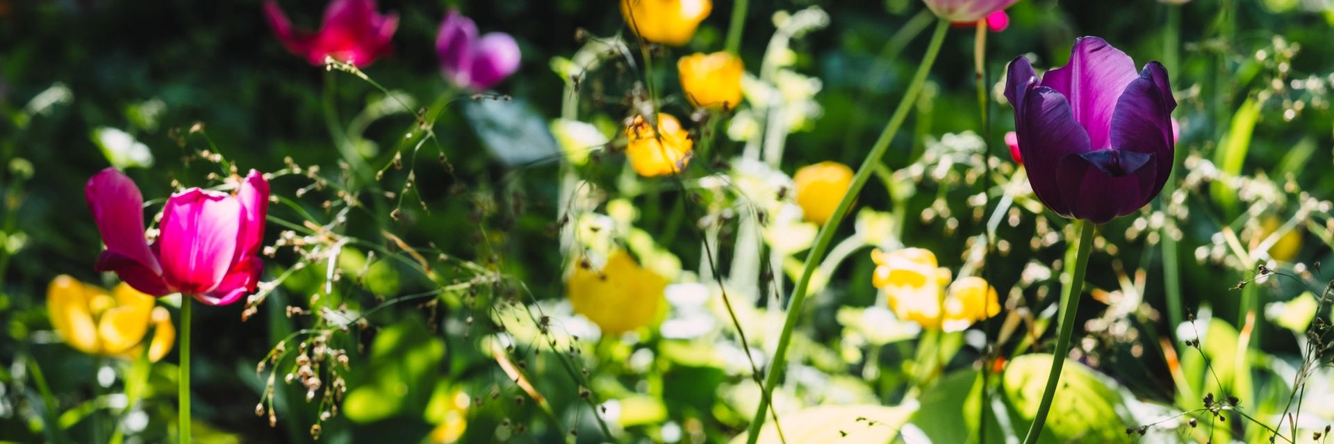 How to garden when the weather is hot