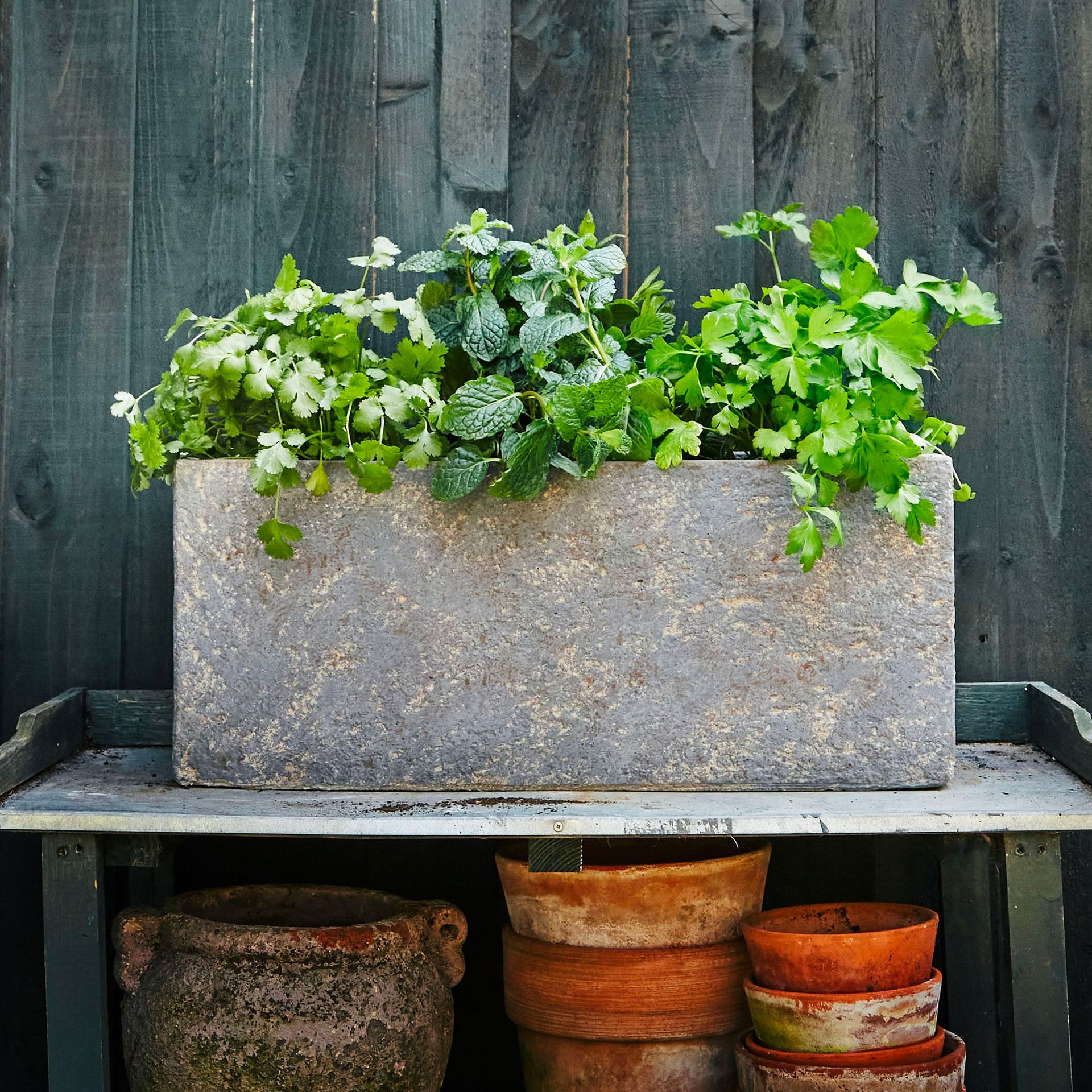 Design your perfect herb garden