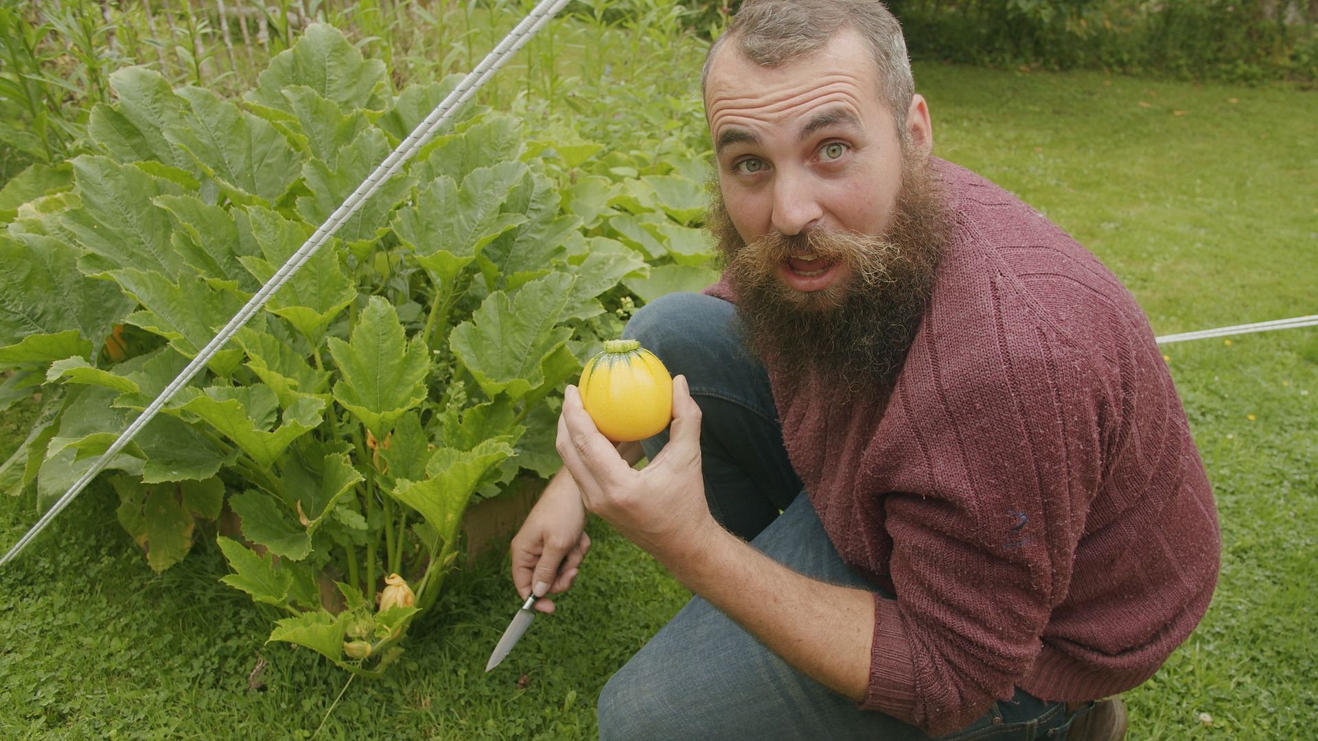Sam Says: How to Manage Pests in the Garden Sustainably - Sproutl