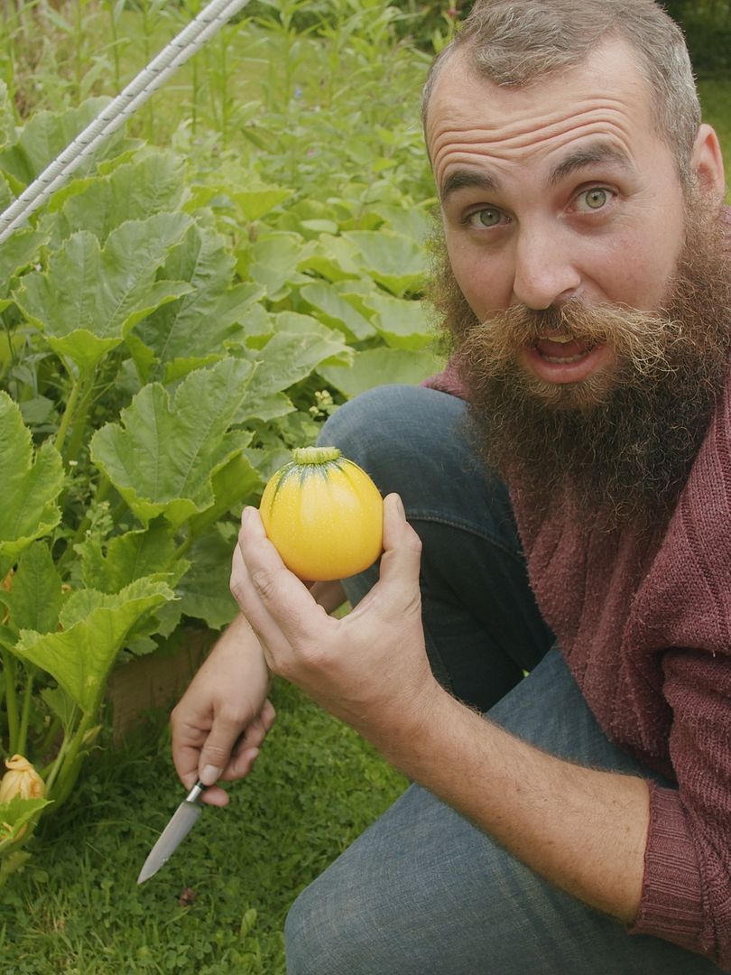 how to harvest your vegetables grown at home