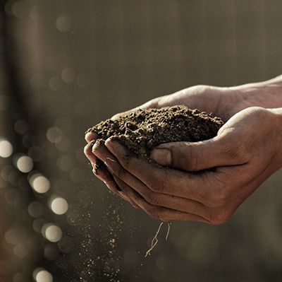 Hands holding pile of soil