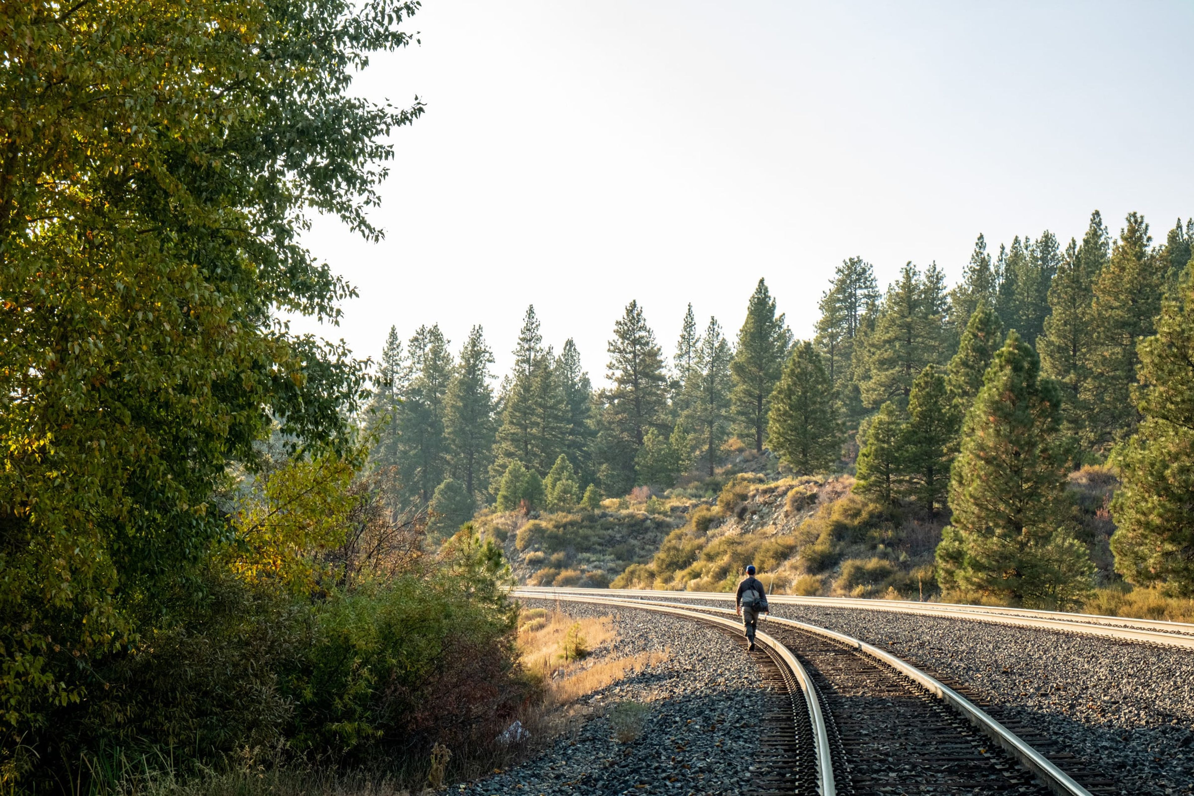 Angler walking along railroad tracks through pine forest