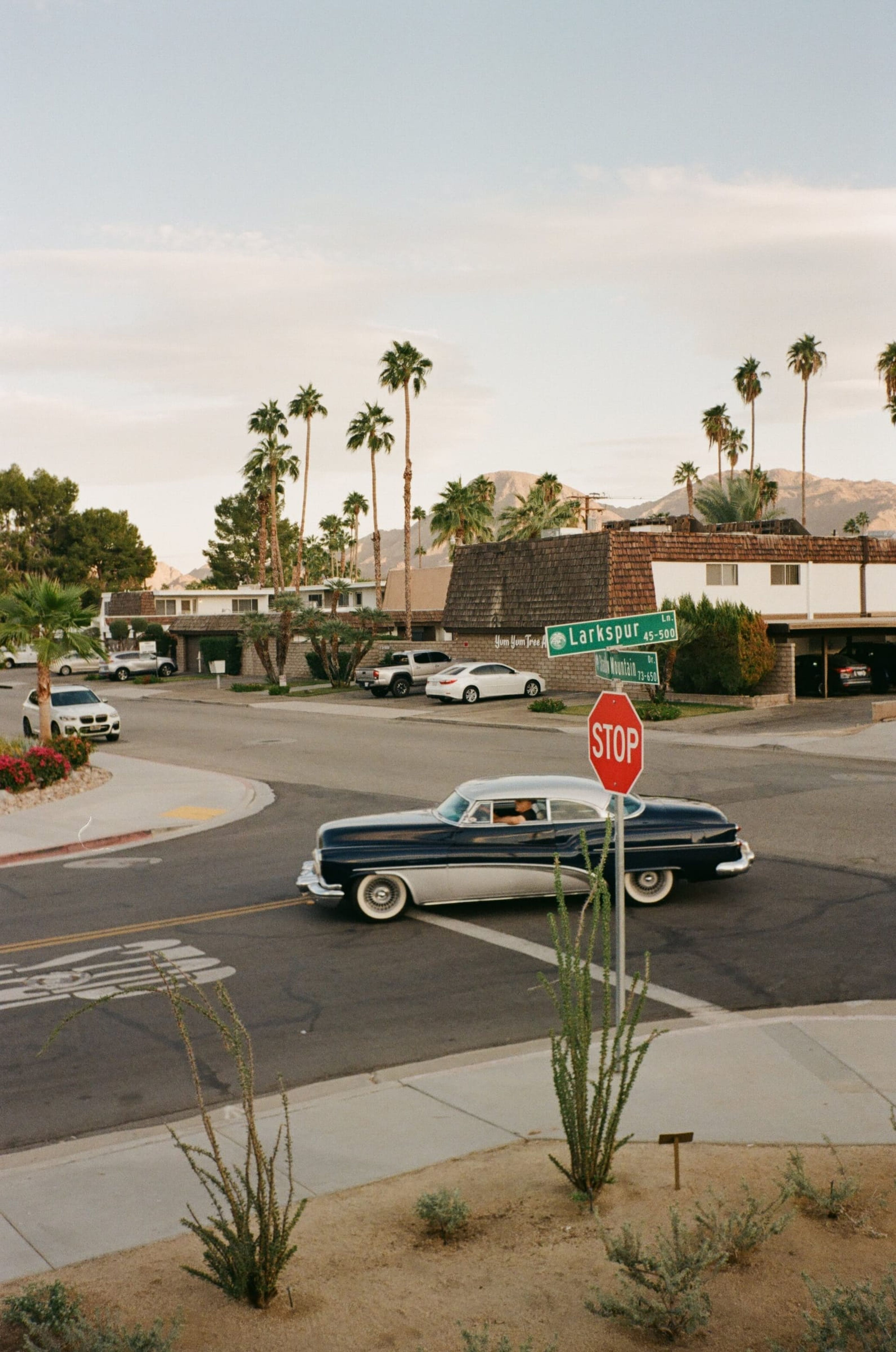 Vintage car turning at a desert intersection lined with palms