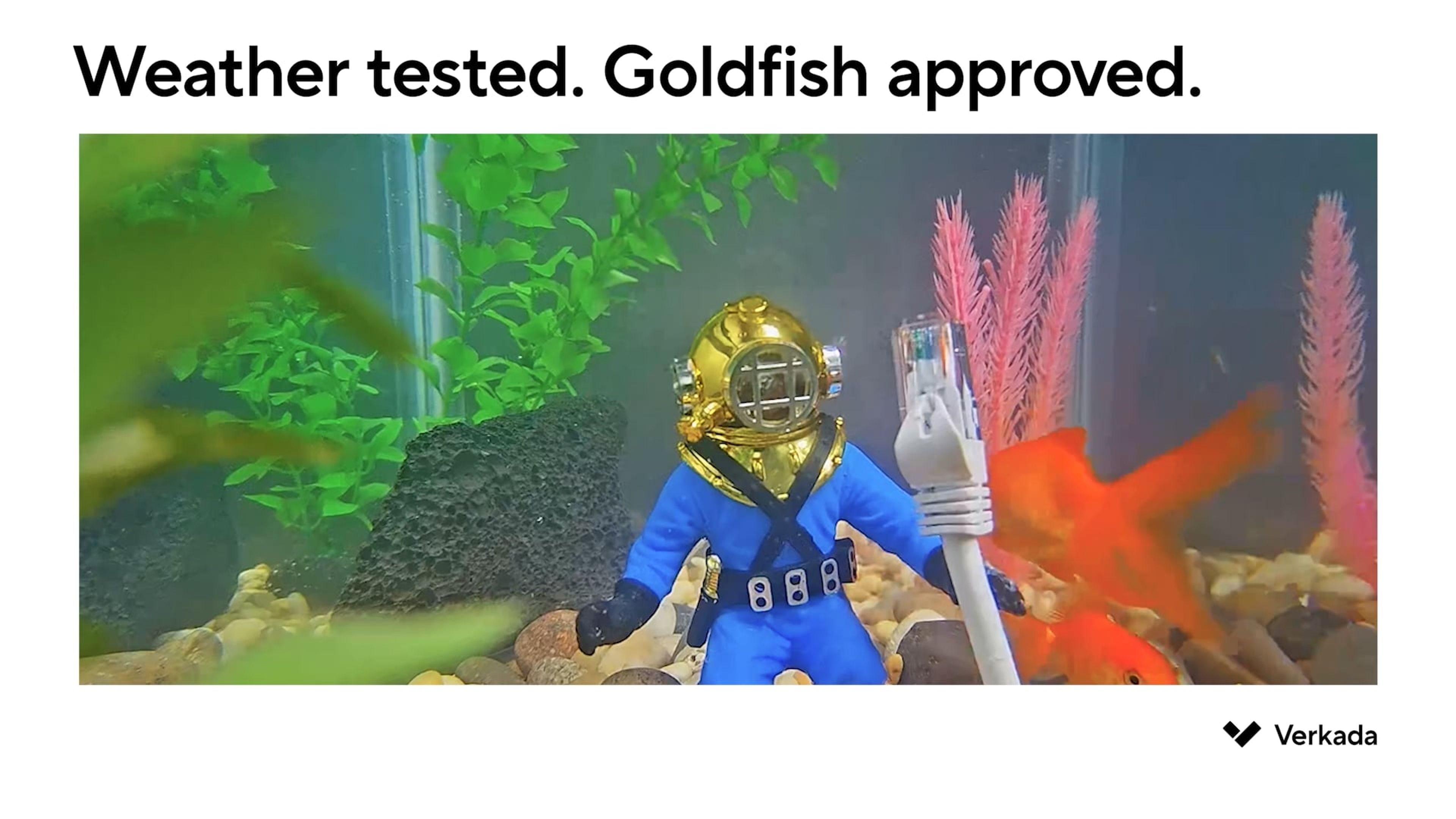 Fishtank