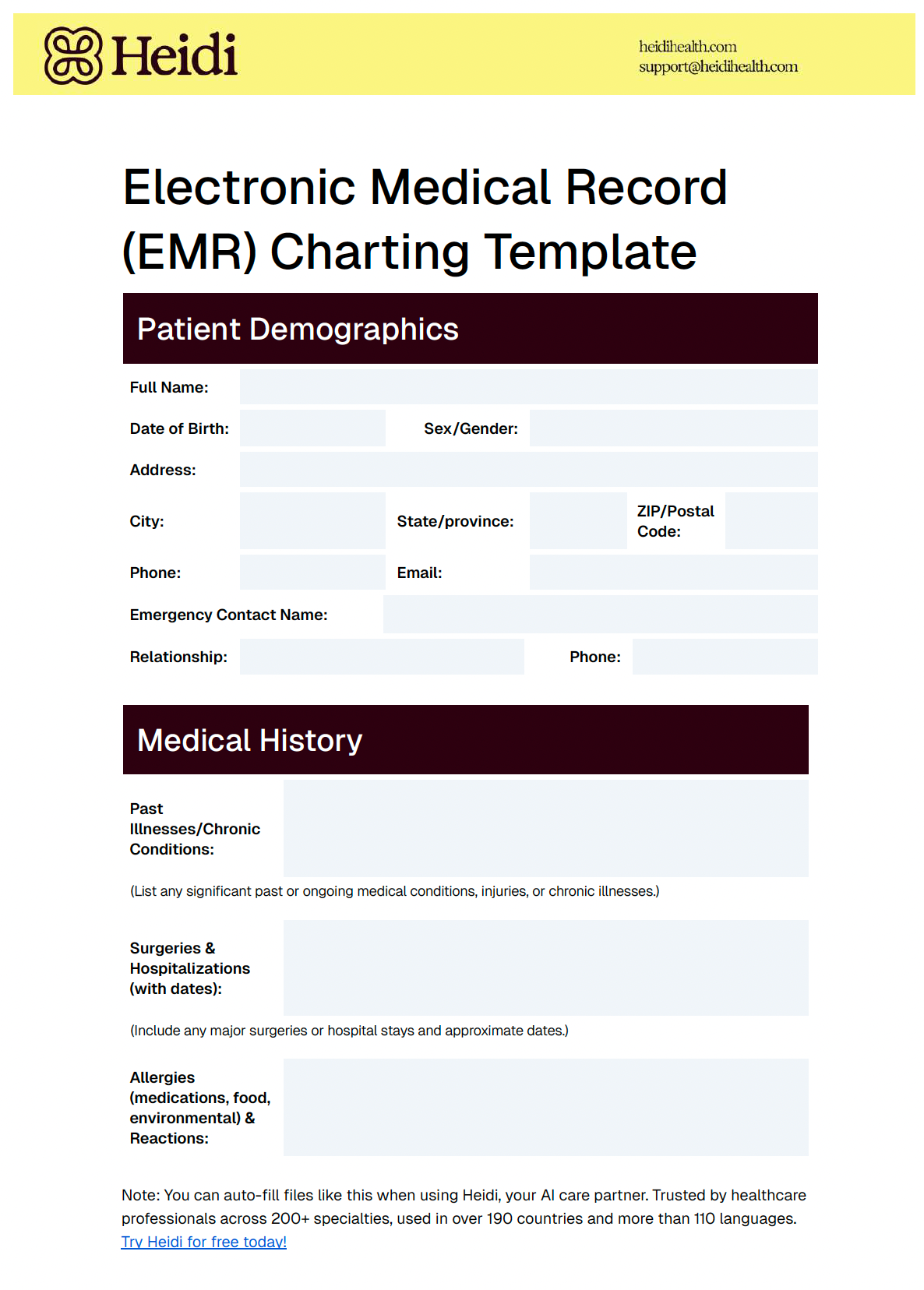 An Electronic Medical Record (EMR) charting template from Heidi, showing sections for patient demographics and medical history.