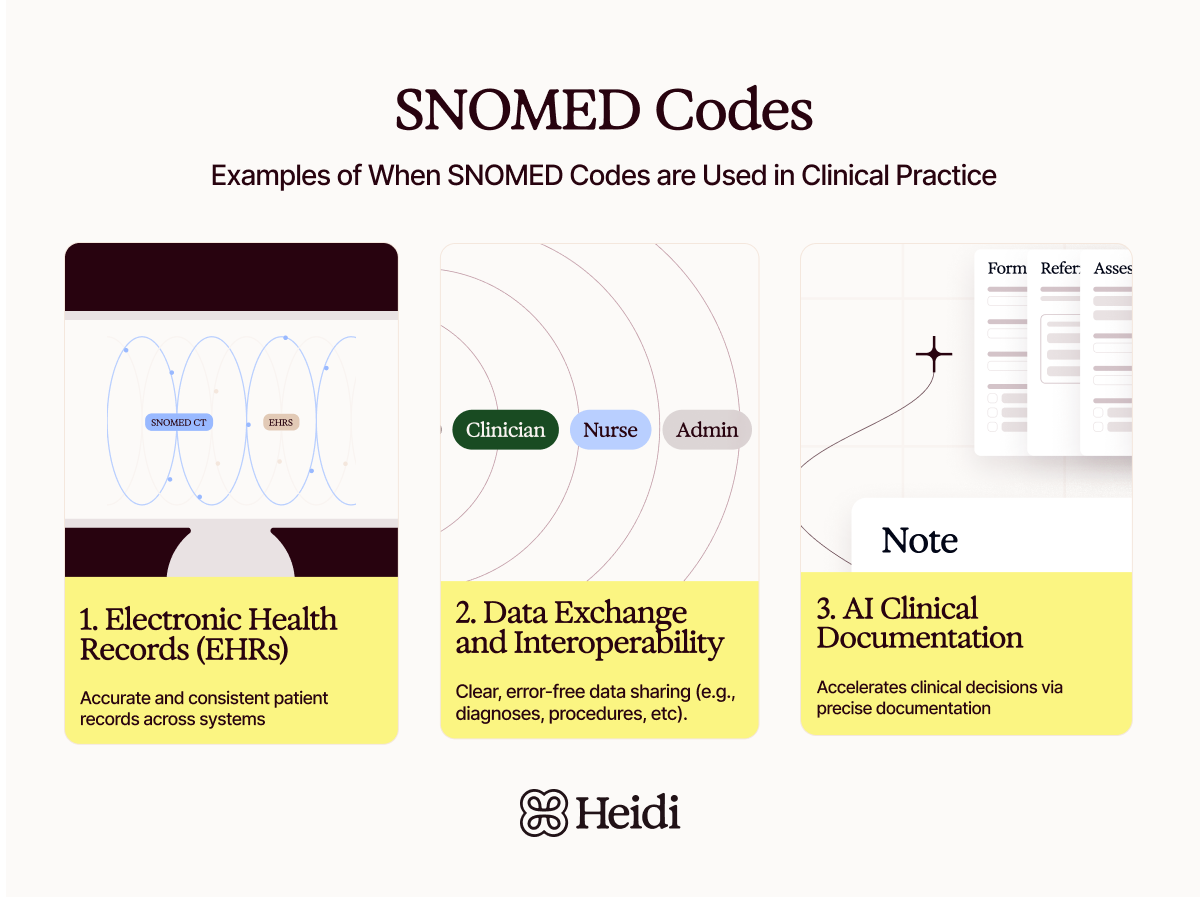 SNOMED Codes Uses in Clinical Practice
