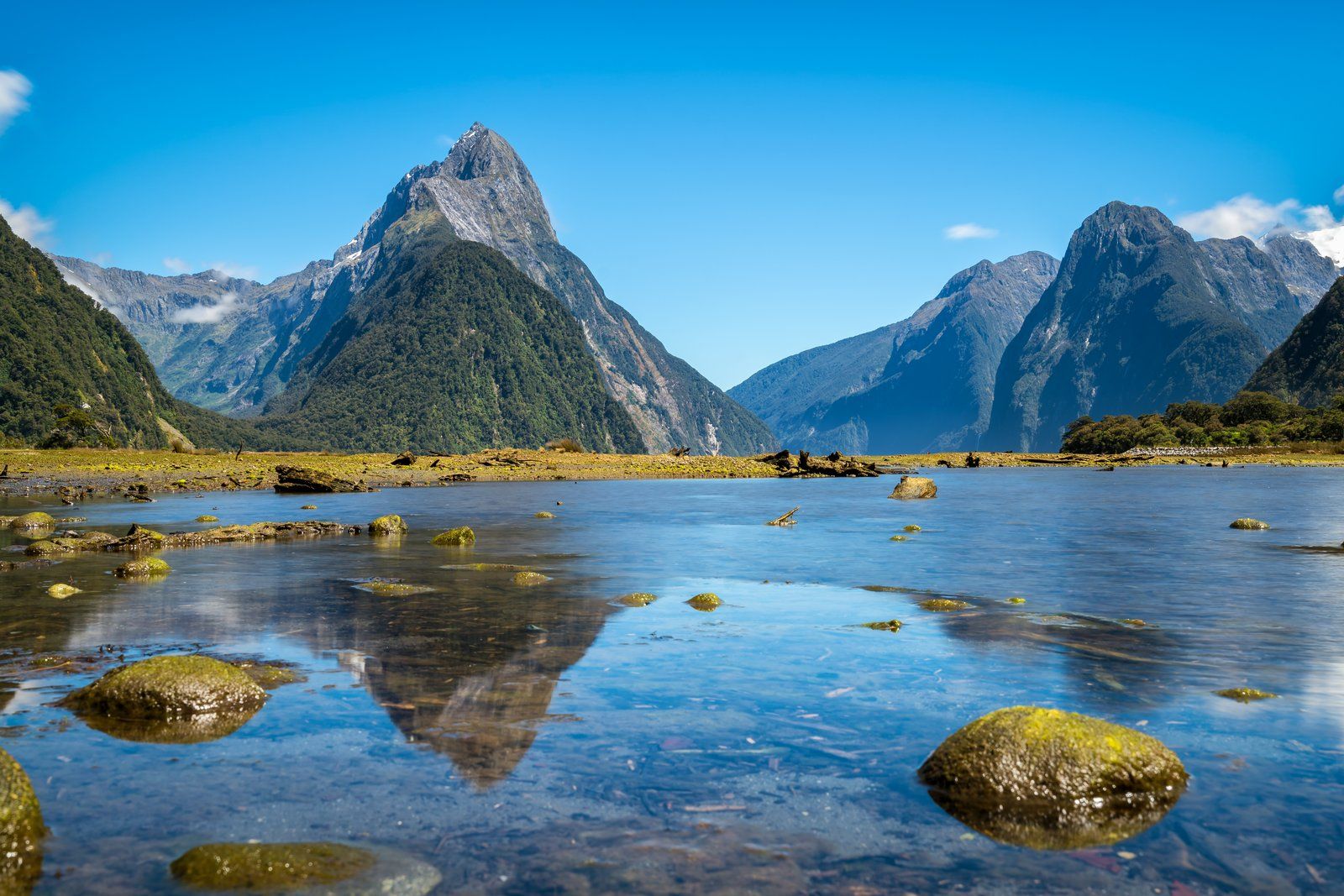 New Zealand