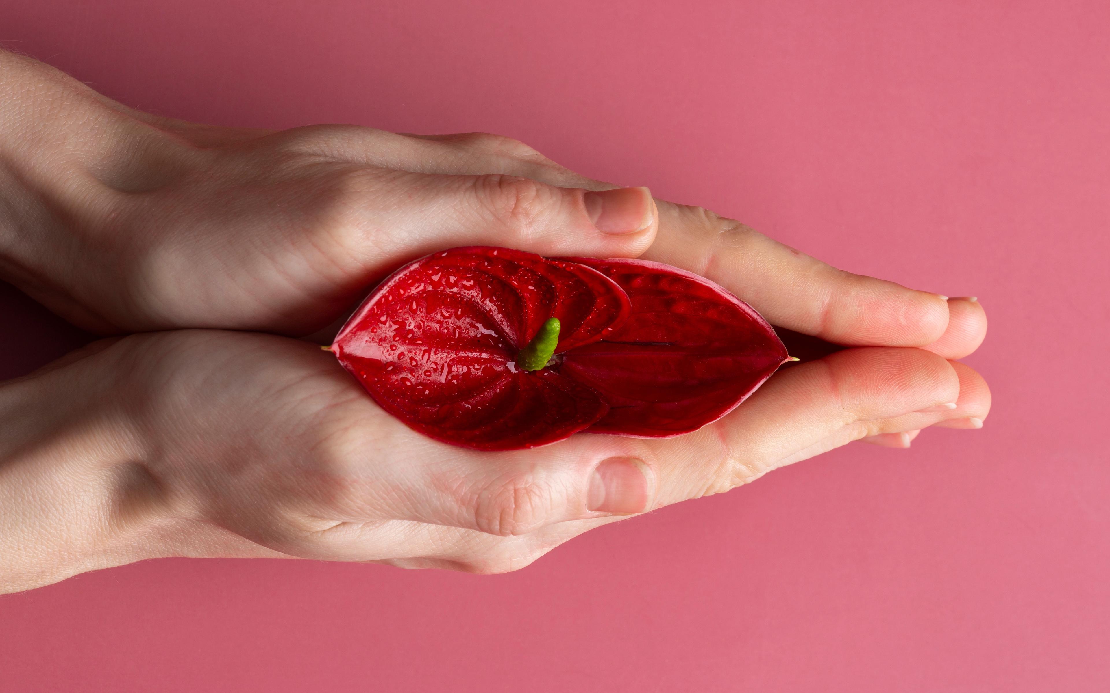 Revoluția din Ginecologie pe care Mulți Medici o Ignoră Încă. Cum Devii Specialist în Rejuvenare Vaginală?