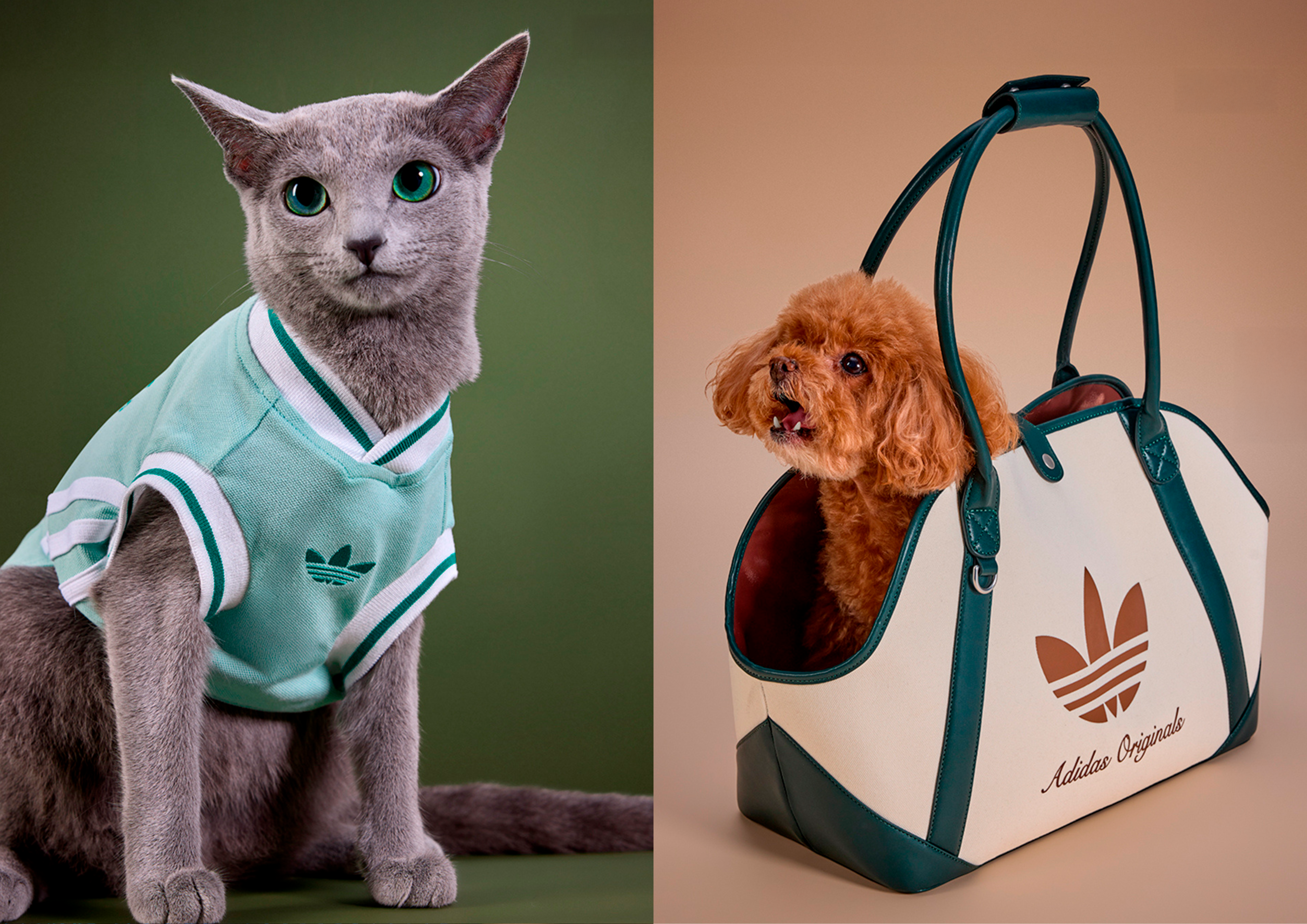 adidas Originals leva estética Tennis Core para nova coleção de roupas para pets