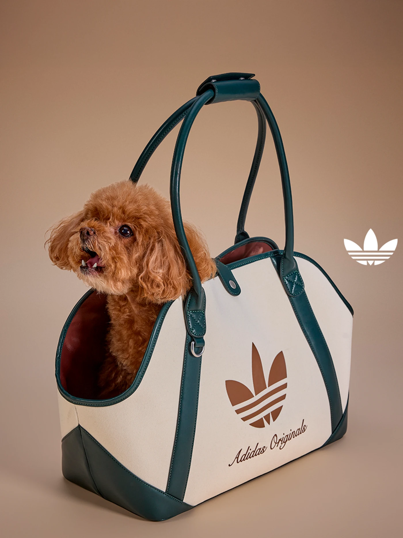 Coleção adidas pet