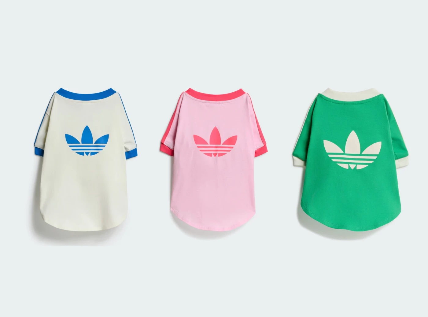 Roupas para Cães.