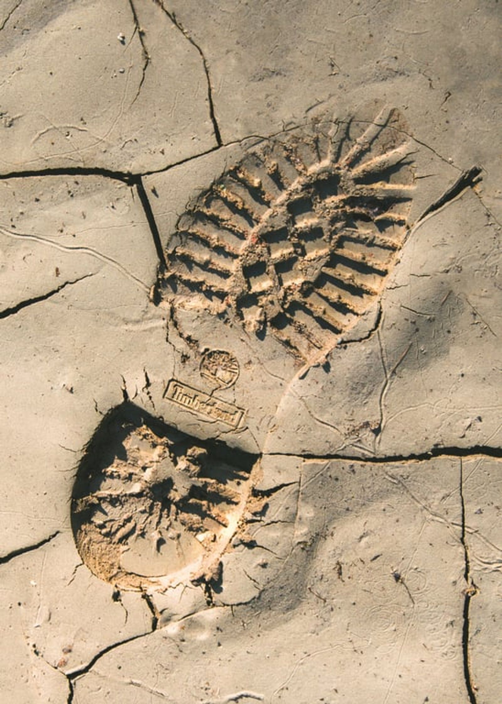 AI Carbon Footprint