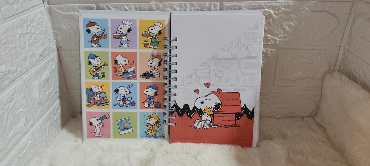 Interna Snoopy