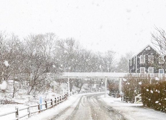 Your Guide to a Nantucket Winter - Great Point Properties, Nantucket