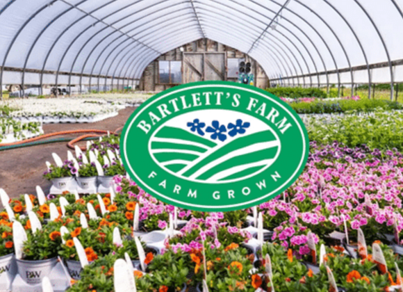 Bartlett's Farm Walking Tour - Great Point Properties, Nantucket