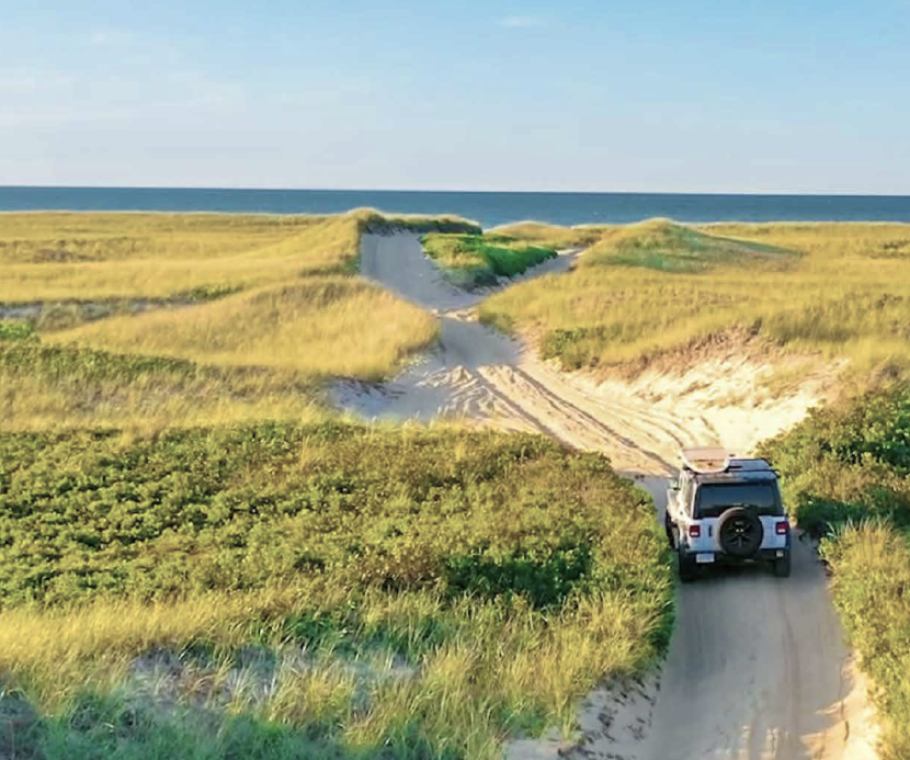 Amazing Nantucket experiences