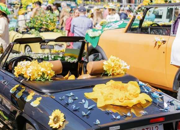 Nantucket Daffodil Festival Classic Car Show - Great Point Properties, Nantucket