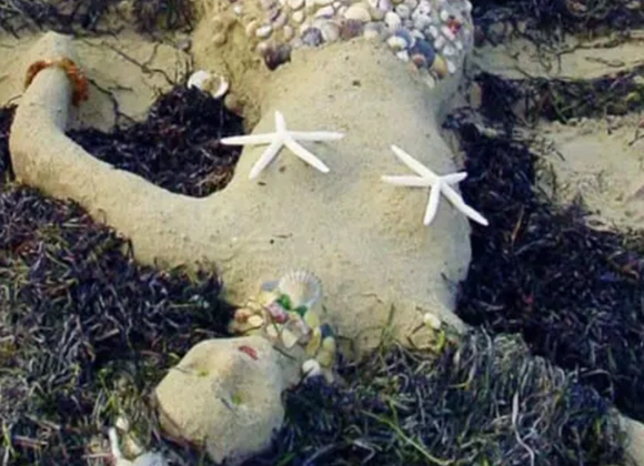 NISDA Sandcastle & Sculpture Contest - Great Point Properties, Nantucket