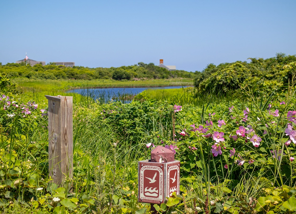 Preserving Paradise: Conservation by the Numbers - Great Point Properties, Nantucket