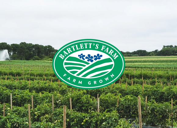 Bartlett's Farm Pick-Your-Own Veggies - Great Point Properties, Nantucket
