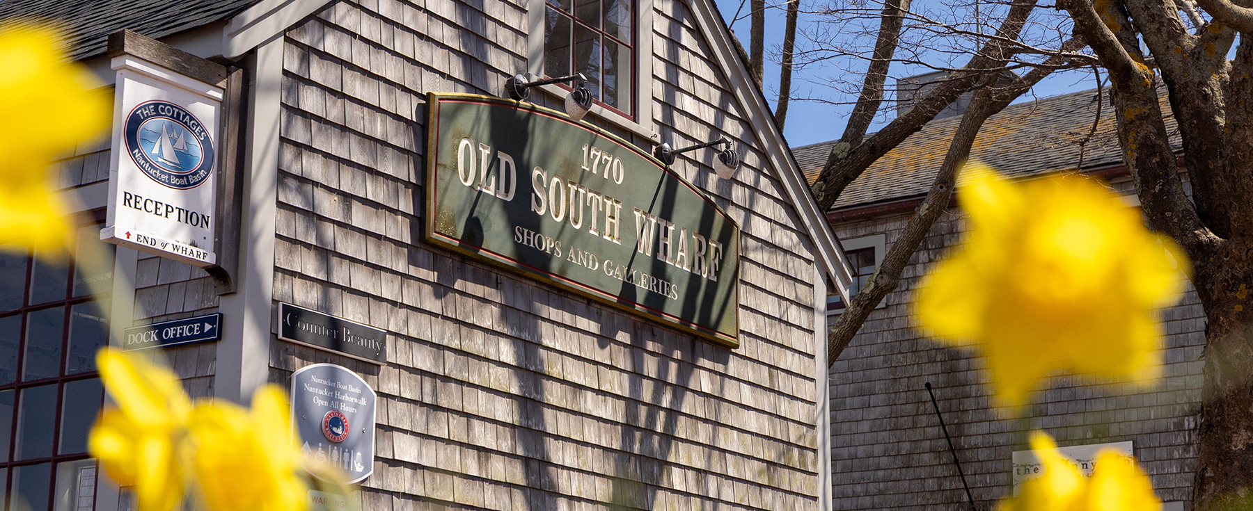 Daffodil Festival 2026