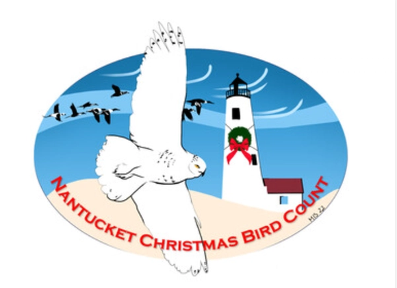 Nantucket Christmas Bird Count - Great Point Properties, Nantucket