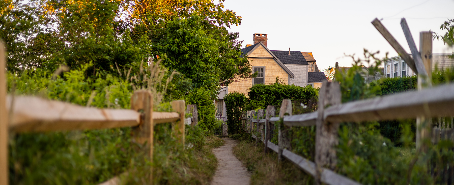 The Best Springtime Walks And Nature Trails In Sconset