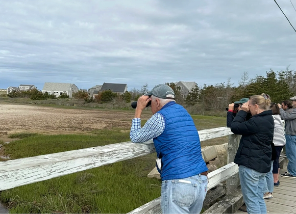 Birding Field Trip  - Great Point Properties, Nantucket
