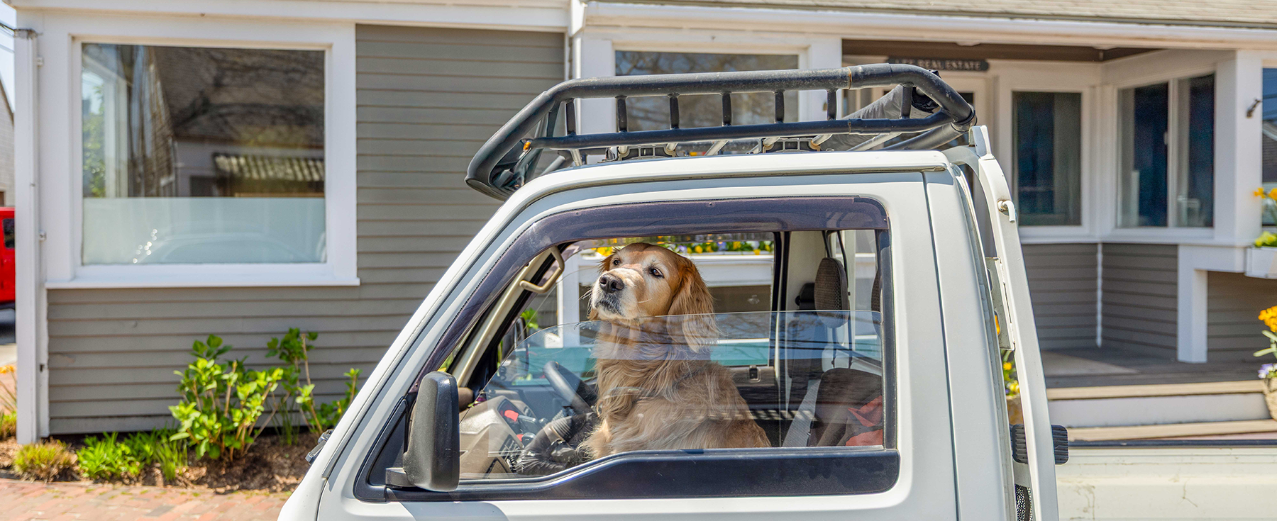 Discovering Dog-Friendly Beaches In Nantucket