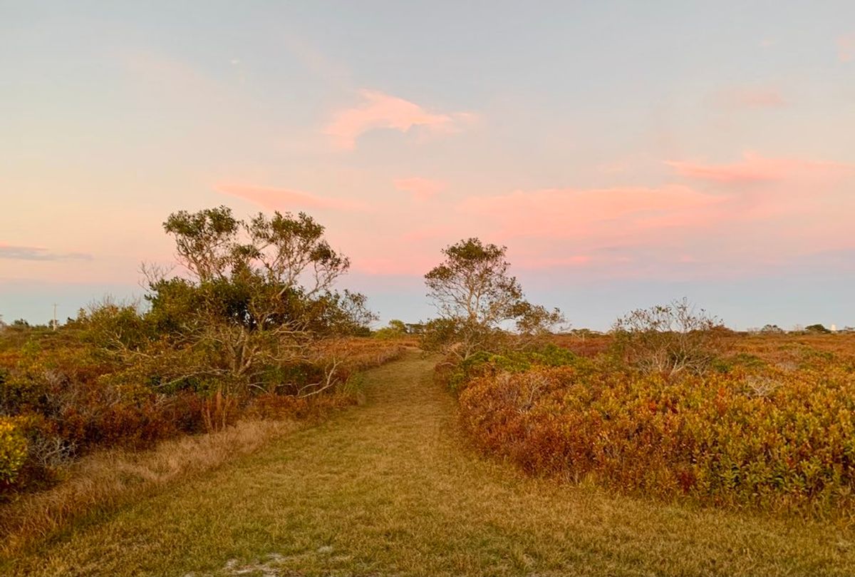 Take a walk on a Linda Loring Nature Foundation trail