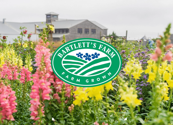 Bartlett's Farm Pick-Your-Own Flowers - Great Point Properties, Nantucket