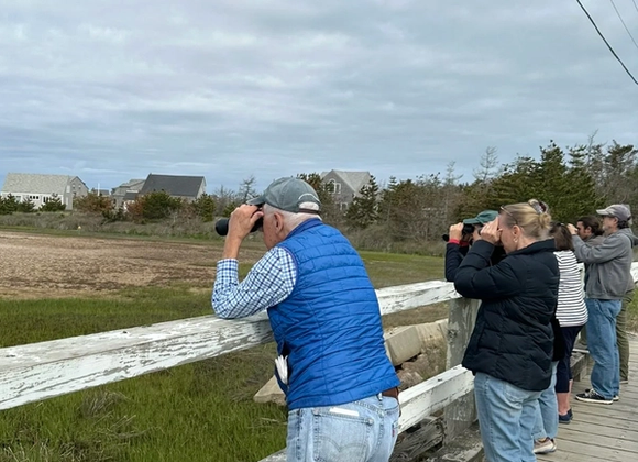 LLNF Birding Field Trip - Great Point Properties, Nantucket